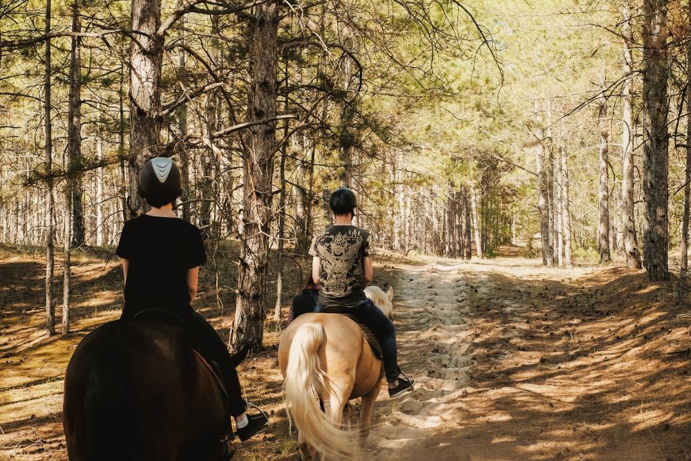 Two riders on horseback traversing a wooded trail.